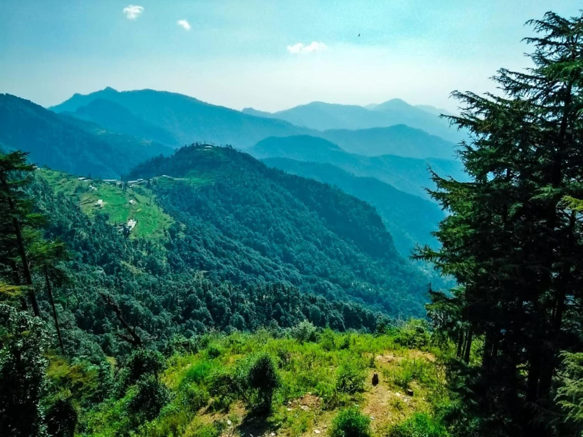 La Riqueza Dhanolti View # Near To Eco Park & Surkanda Devi Temple # Mountain View Rooms With Balcony # Big Parking # Customer Favourite Hotel 达纳尔蒂 外观 照片